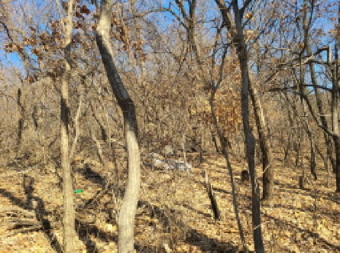 본건 부동산 전경(4)