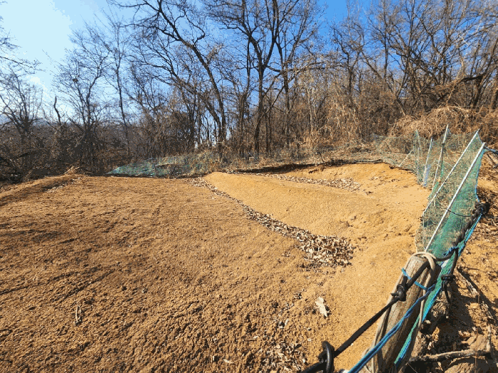 본건 임야 중단부 경작지 상태