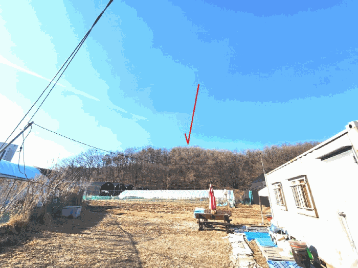 본건 및 주위 전경(남동측에서 촬영)