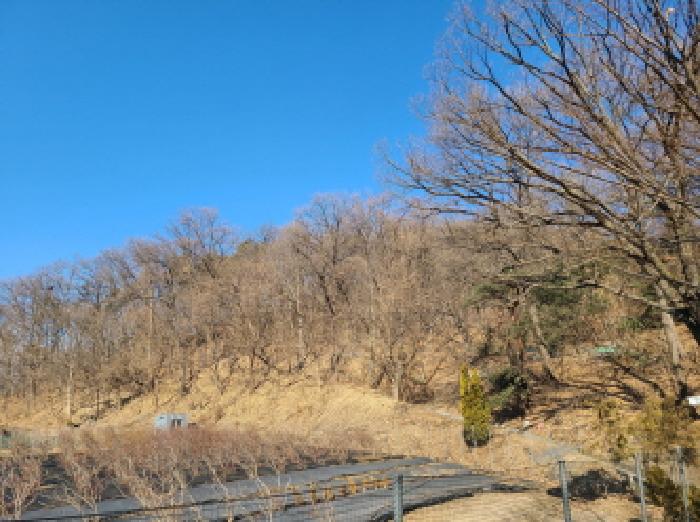 본건 부동산 전경(2) - 산 입구