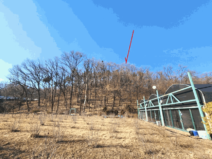 본건 전경(남측에서 촬영)