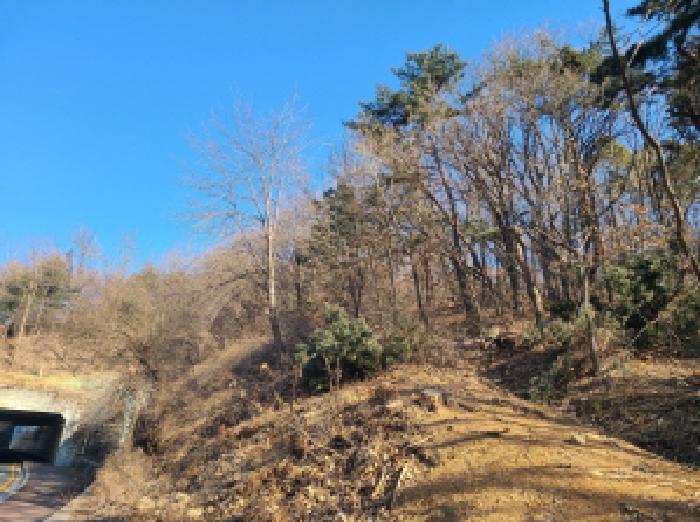 본건 부동산 전경(1) - 터널 부근