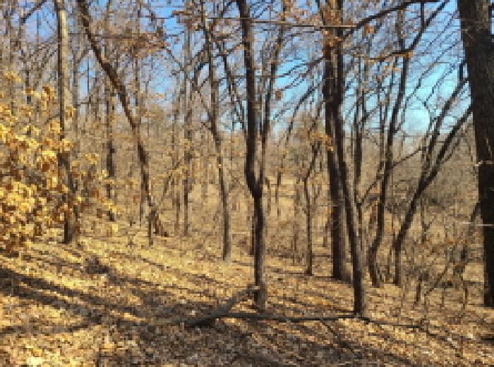 본건 부동산 전경(3) 