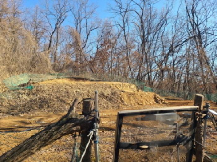 본건 부동산 전경(5) - 봉분 없는 분묘 흔적