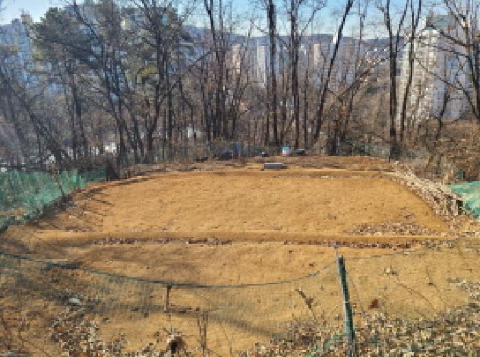 본건 부동산 전경(6) - 봉분 없는 분묘 흔적