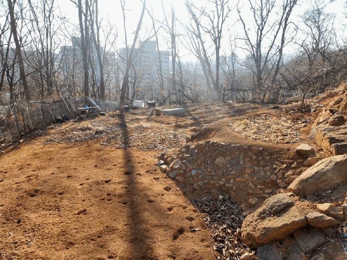 본건 임야 중단부 경작지 상태