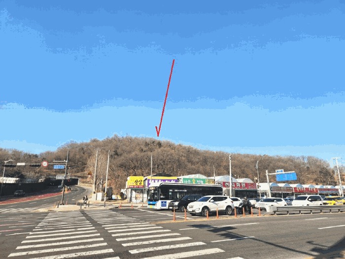 본건 및 주위 전경(남측에서 촬영)