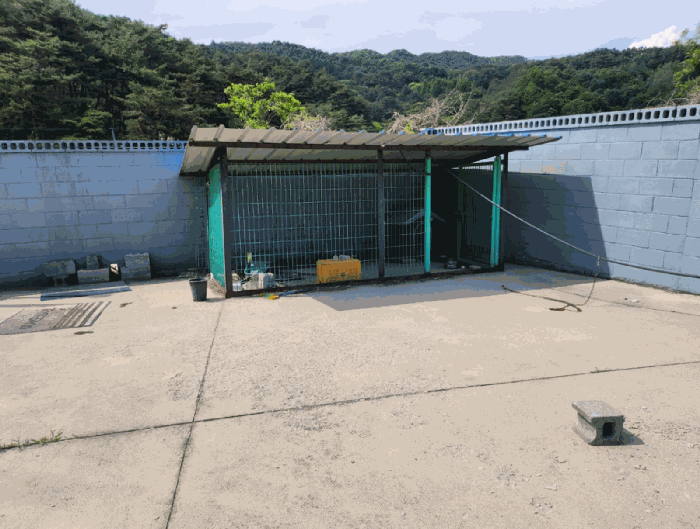 타인소유 제시외 (8)