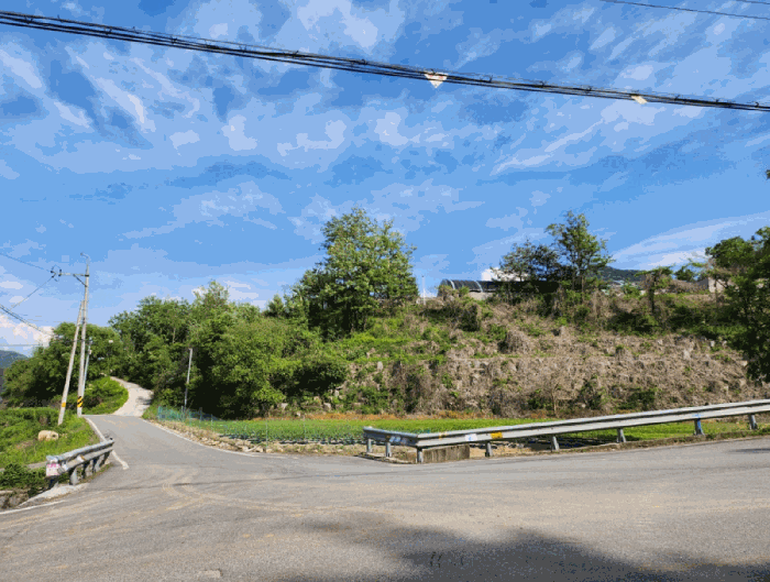 본건 전경 및 북측 도로