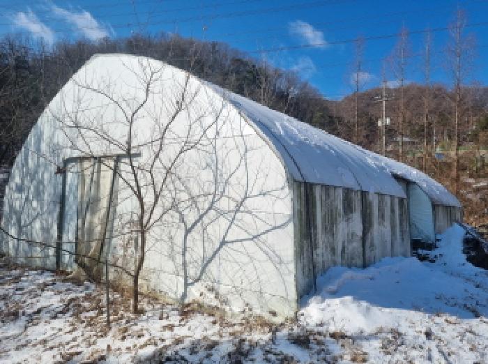 목록5,6 지상 제시외 비닐하우스 모습