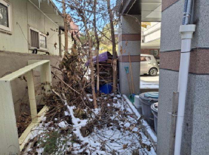 건물 뒷쪽 및 제시외 수목 모습