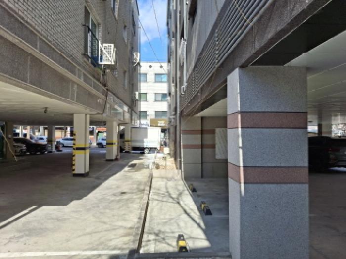 건물 우측 및 제시외 수목 모습