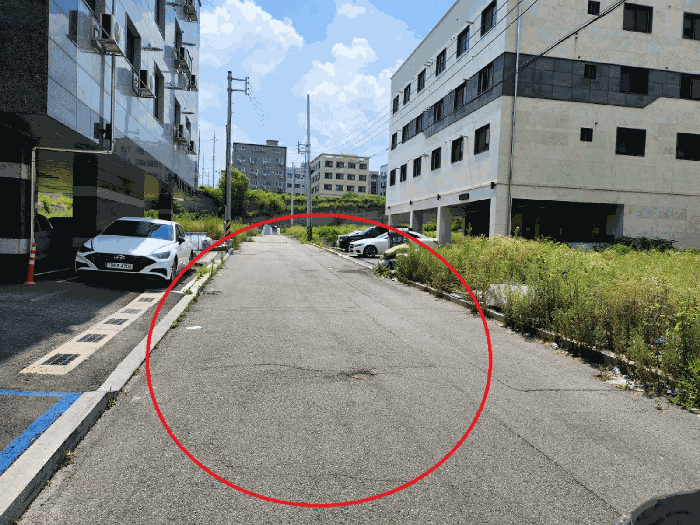 본건 기호 (9,12,13) 도로 전경