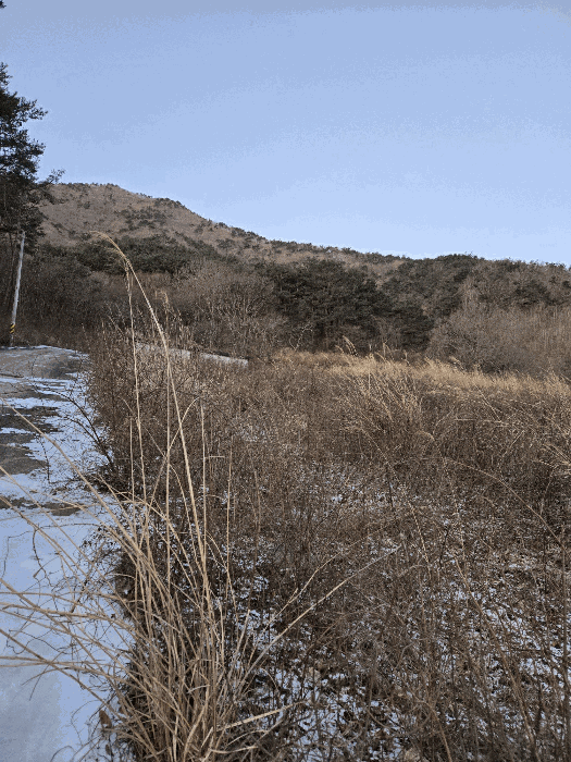 일련번호(1)토지의 전경