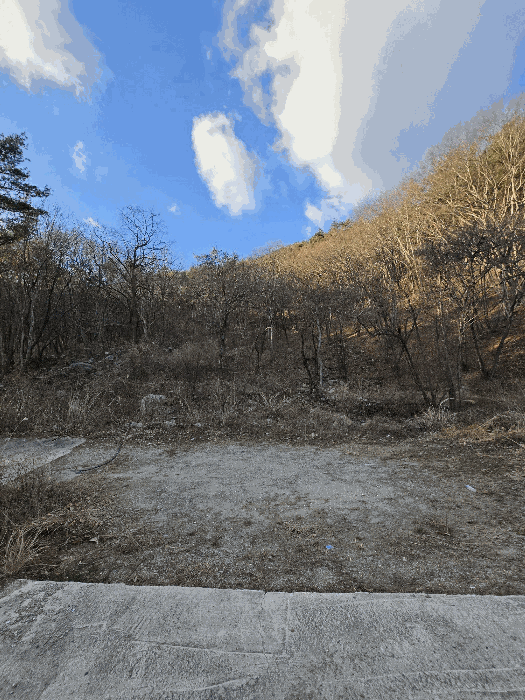 일련번호(2)토지의 전경