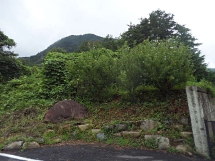 엄광리 377-18외 전경