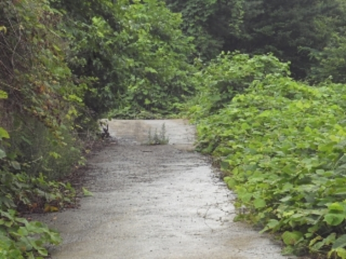 엄광리 377-4외 전경