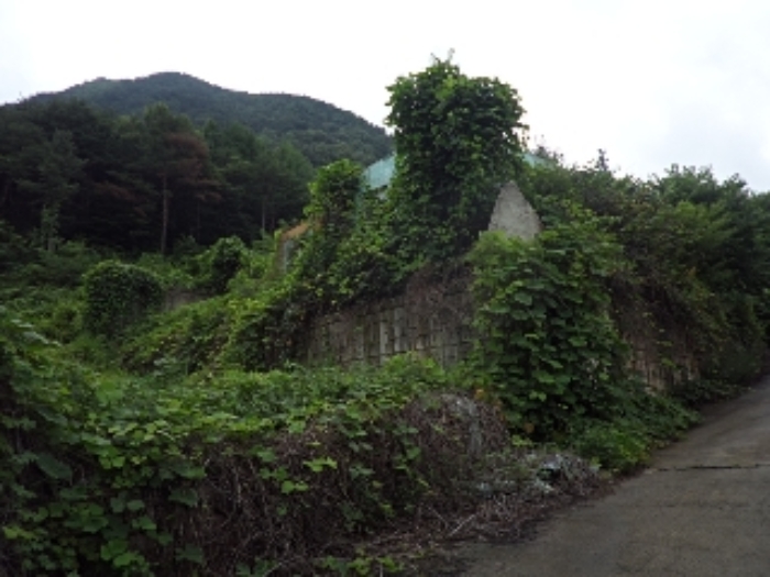 엄광리 산120-4외 전경