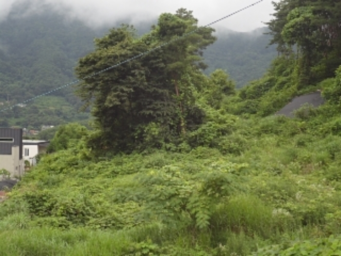 엄광리 377-24외 전경