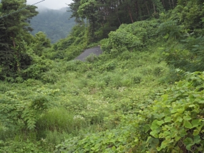 엄광리 377-23외 전경