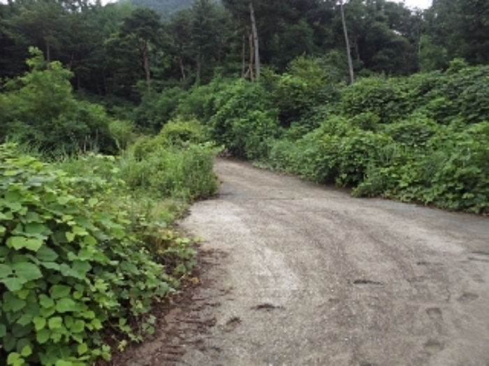 엄광리 산120외 전경