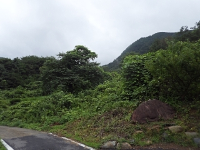 엄광리 377-18외 전경