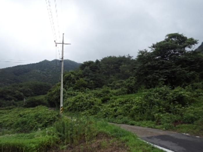 엄광리 377외 전경