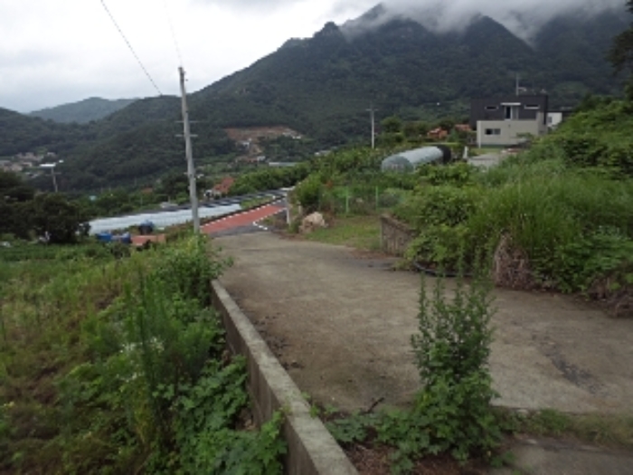 엄광리 377-12외 전경