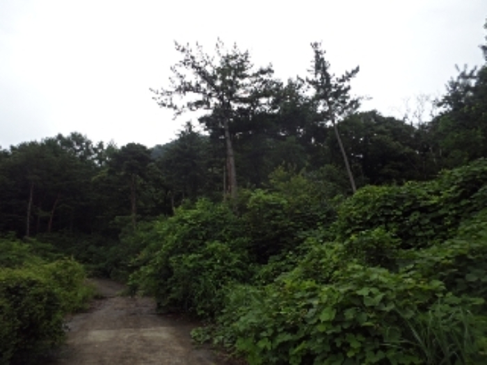 엄광리 산120-1외 전경