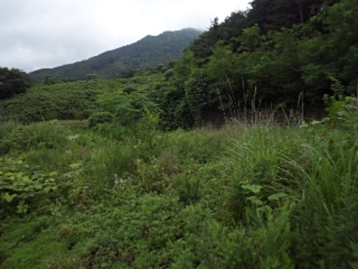 엄광리 산120-7외 전경