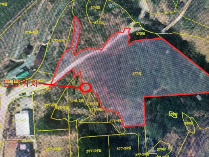 기호1 지상 분묘(항공사진)