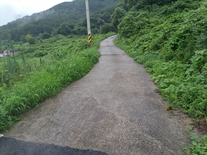 기호1 도로부분