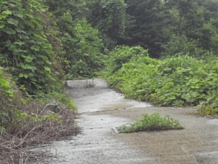 엄광리 377-10외 전경