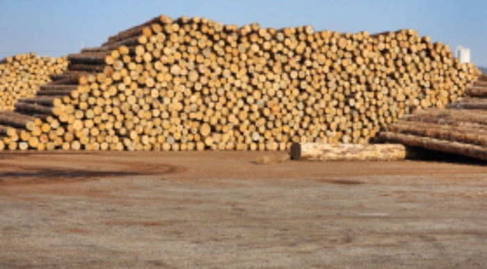 목록1 토지상 적치물(목재)