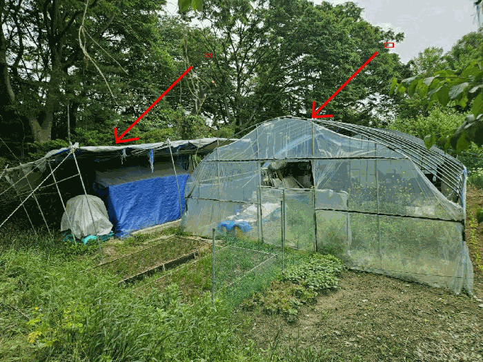 제시외건물 ㅁ,ㅂ