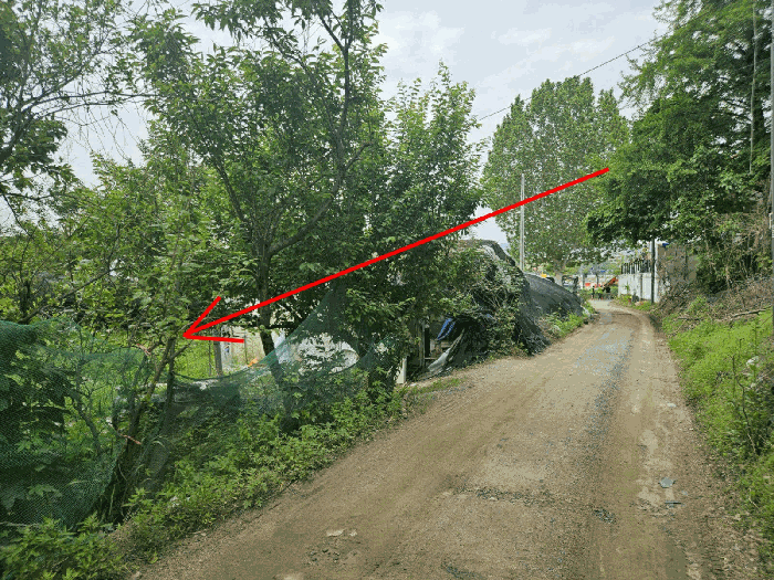 본건 및 주변 전경