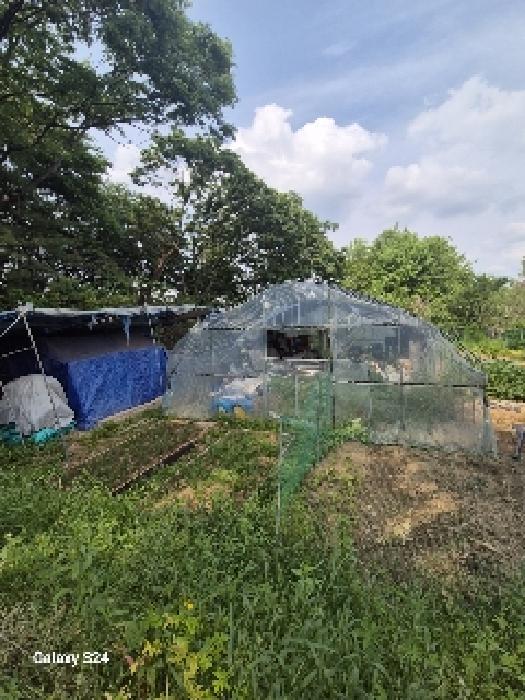 본건 전경(안쪽에 있는 하우스와 천막)