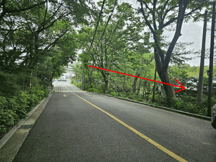 본건 및 주변 전경