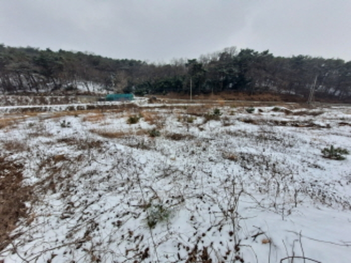 목록 2 남쪽부분 서쪽방향 경계부분