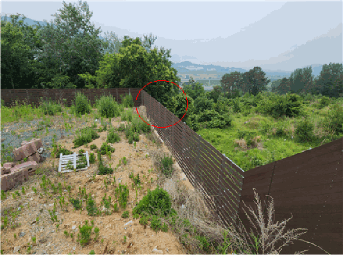 【 본건(기호2) 전경 】