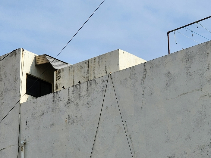 제시외건물(ㄴ-