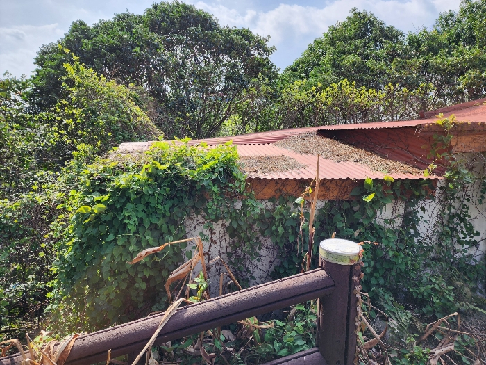 제시외건물(ㅈ-