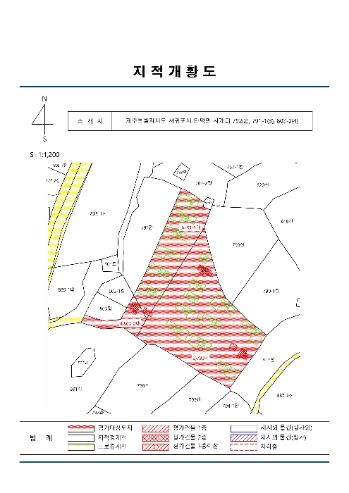 지적도(경매,디딤돌 등)-2