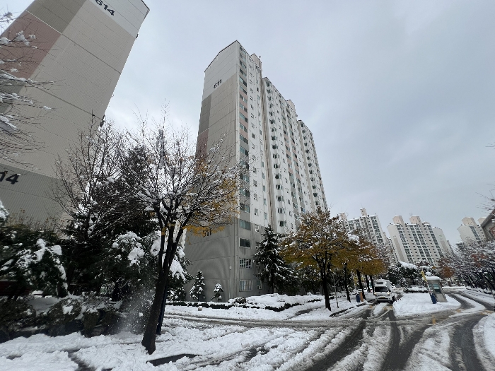 본건 소재 건물 전경2