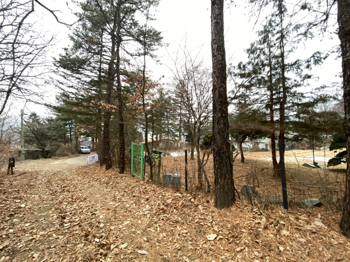주변 전경
