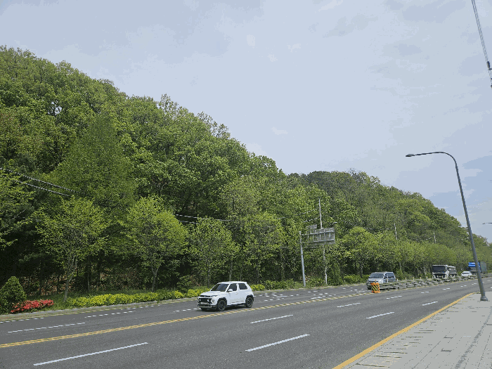 본건 전경