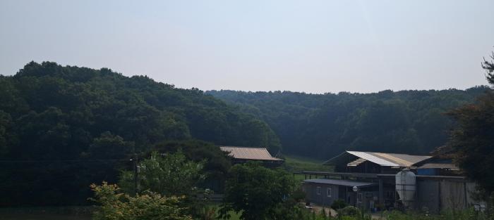 임야 전경(1)