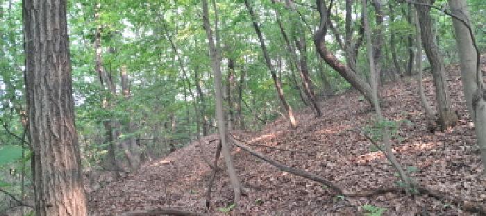 임야 전경(3)