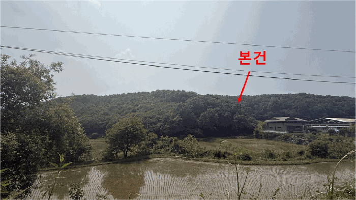 본건 전경(본건 동측 인근에서)