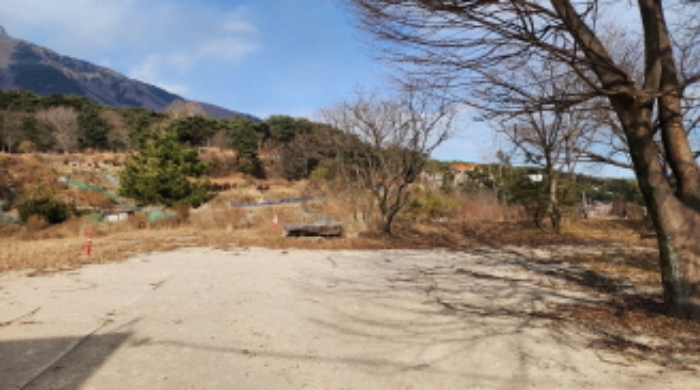 부동산의 표시 3. 제시외 수목 등